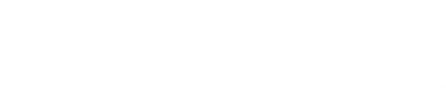 slagkracht-logo-white